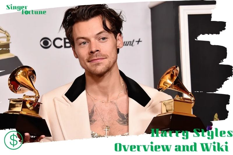 Harry Styles Net Worth 2024 SingerFortune