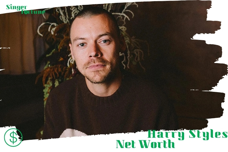 Harry Styles Net Worth 2024 SingerFortune