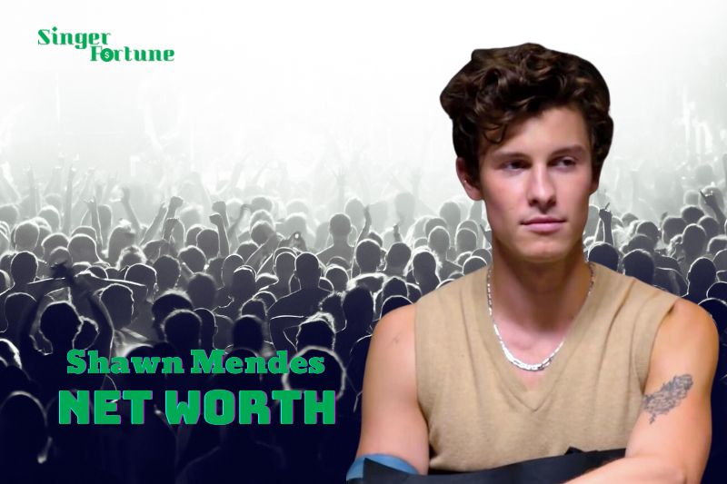 What is Shawn Mendes Net Worth 2024 Earnings, Endorsements, Tours, and Awards